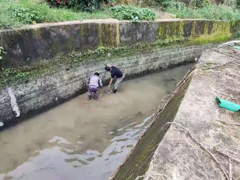 漳州市峰頭水庫(kù)渠首防滲加固工程